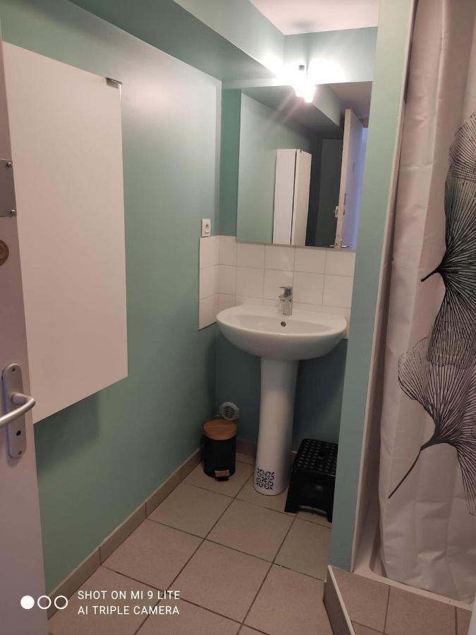 La Cahute, Appartement T2 Avec Jardin Ou Appartement Familial T6 Montauban Ngoại thất bức ảnh